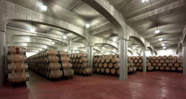 bodega con barricas de madera